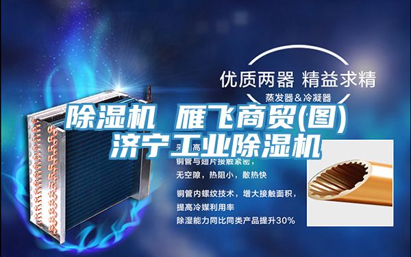 亚洲乱码一区二区三区 除湿机 雁飞商贸(图) 济宁工业除湿机