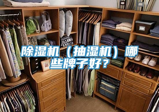 亚洲欧美一级特黄大片 除湿机（抽湿机）哪些牌子好？