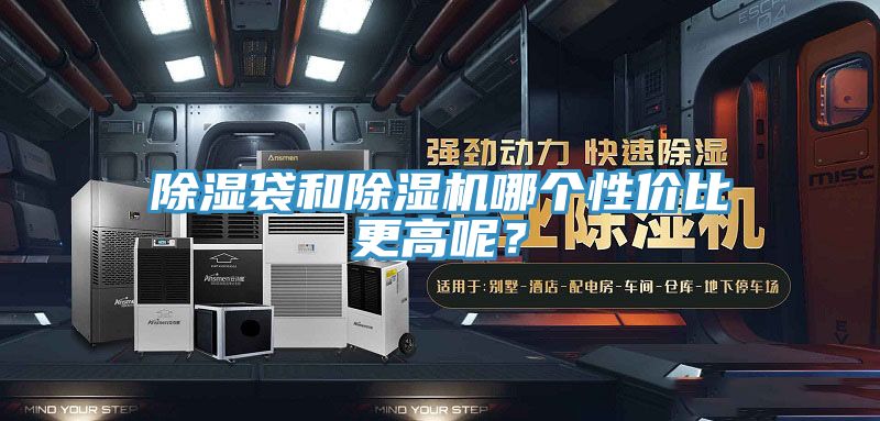 亚洲人成综合第一网站 除湿袋和除湿机哪个性价比更高呢？