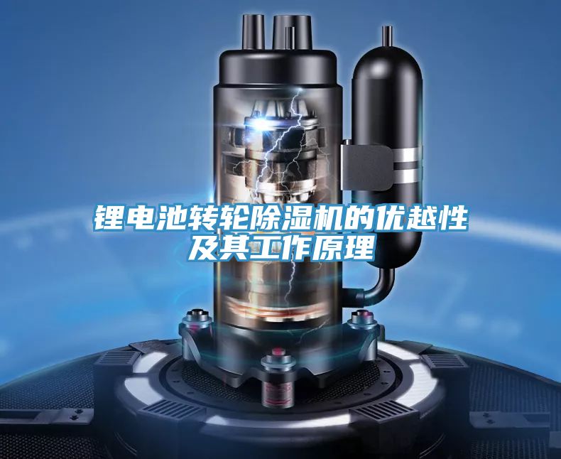 亚洲人成综合第一网站 锂电池转轮除湿机的优越性及其工作原理