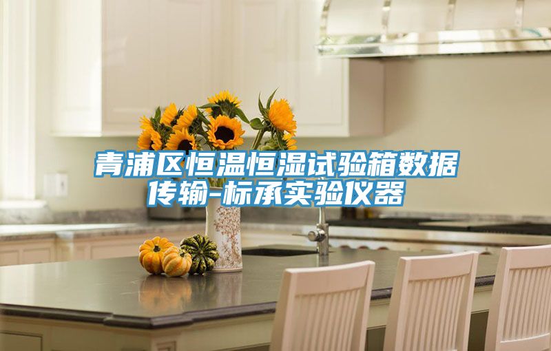亚洲人成综合第一网站 青浦区恒温恒湿试验箱数据传输-标承实验仪器
