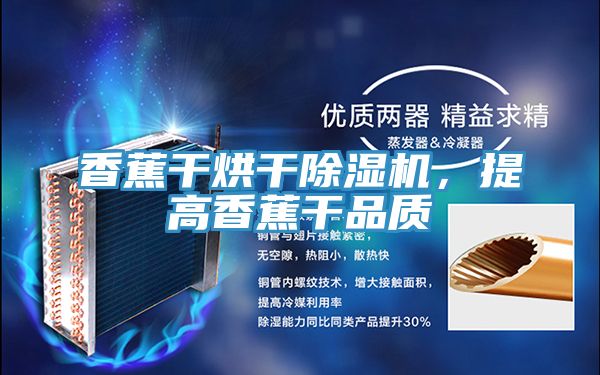 亚洲人成综合第一网站 香蕉干烘干除湿机，提高香蕉干品质