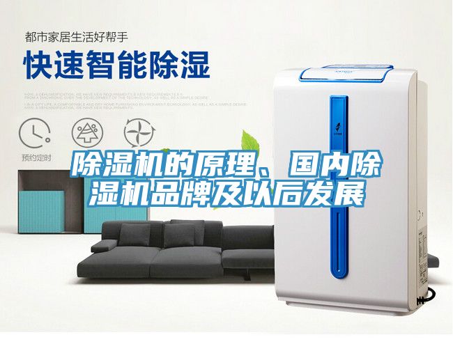 亚洲人成综合第一网站 除湿机的原理、国内除湿机品牌及以后发展