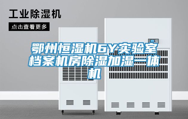 亚洲欧美一级特黄大片 鄂州恒湿机6Y实验室档案机房除湿加湿一体机