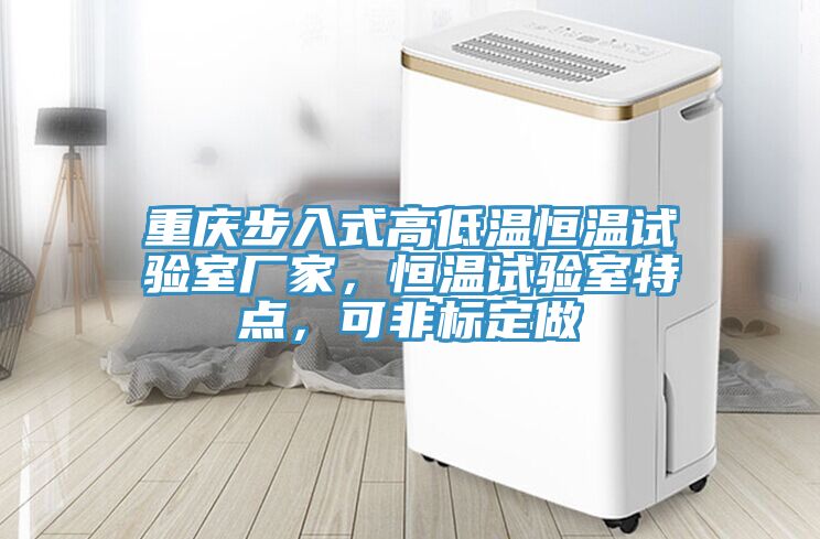 亚洲欧美一级特黄大片 重庆步入式高低温恒温试验室厂家，恒温试验室特点，可非标定做