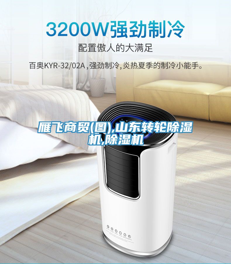 亚洲人成综合第一网站 雁飞商贸(图),山东转轮除湿机,除湿机