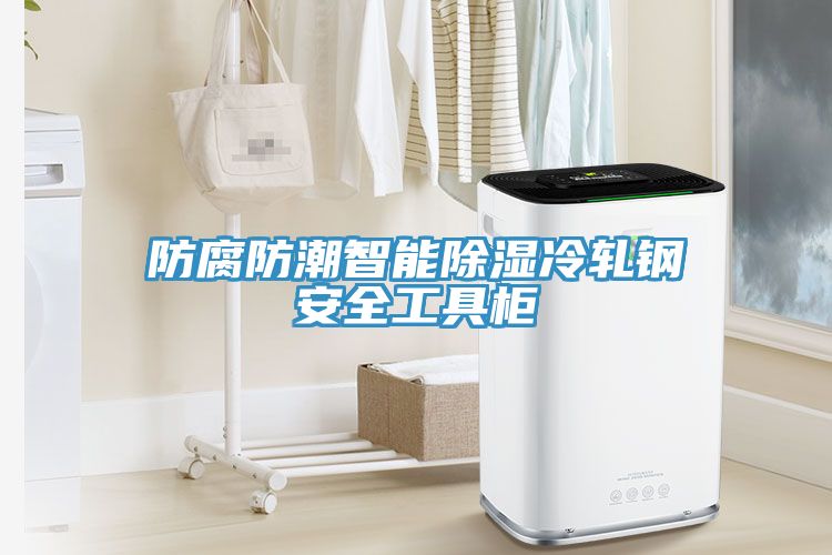 亚洲人成综合第一网站 防腐防潮智能除湿冷轧钢安全工具柜