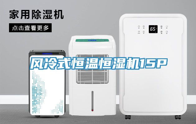 亚洲人成综合第一网站 风冷式恒温恒湿机15P