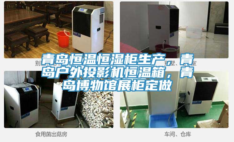 亚洲乱码一区二区三区 青岛恒温恒湿柜生产，青岛户外投影机恒温箱，青岛博物馆展柜定做