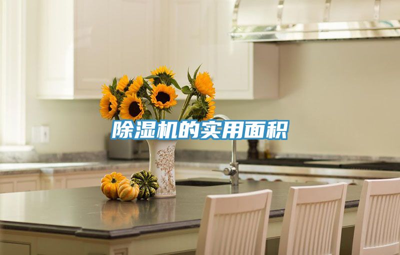 亚洲人成综合第一网站 除湿机的实用面积