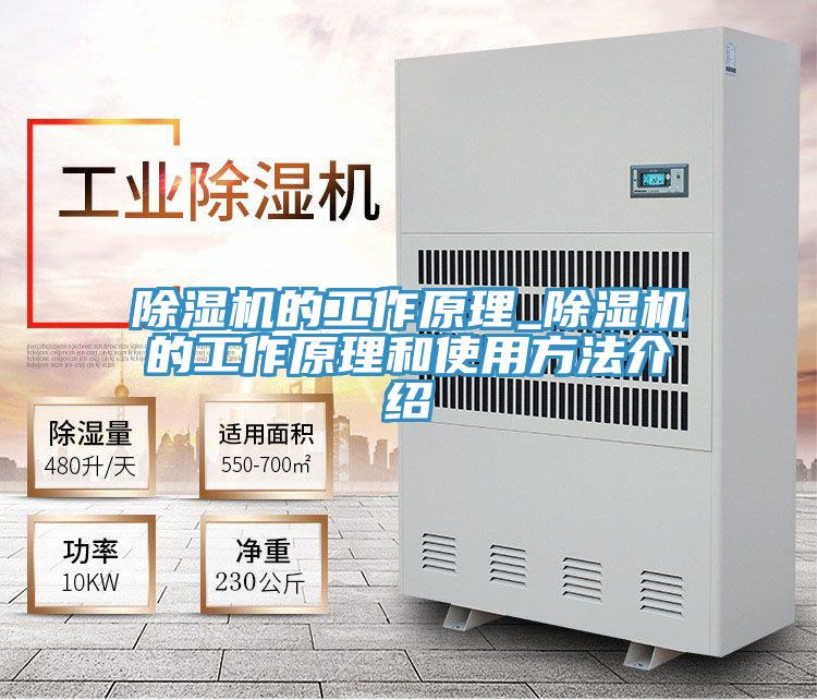 亚洲人成综合第一网站 除湿机的工作原理_除湿机的工作原理和使用方法介绍