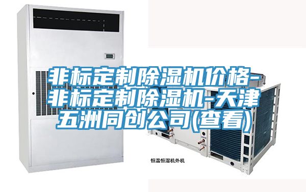 亚洲乱码一区二区三区 非标定制除湿机价格-非标定制除湿机-天津五洲同创公司(查看)