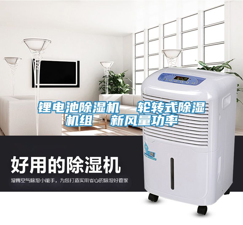 亚洲人成综合第一网站 锂电池除湿机  轮转式除湿机组  新风量功率