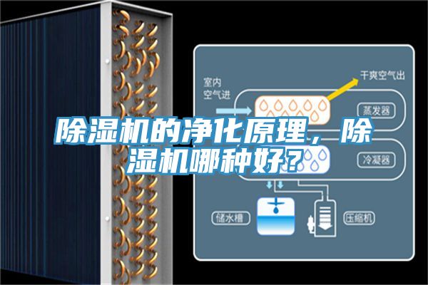 亚洲欧美一级特黄大片 除湿机的净化原理，除湿机哪种好？