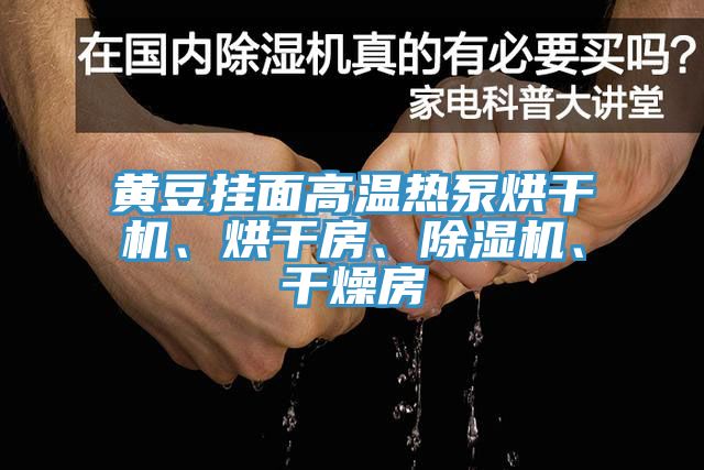亚洲人成综合第一网站 黄豆挂面高温热泵烘干机、烘干房、除湿机、干燥房