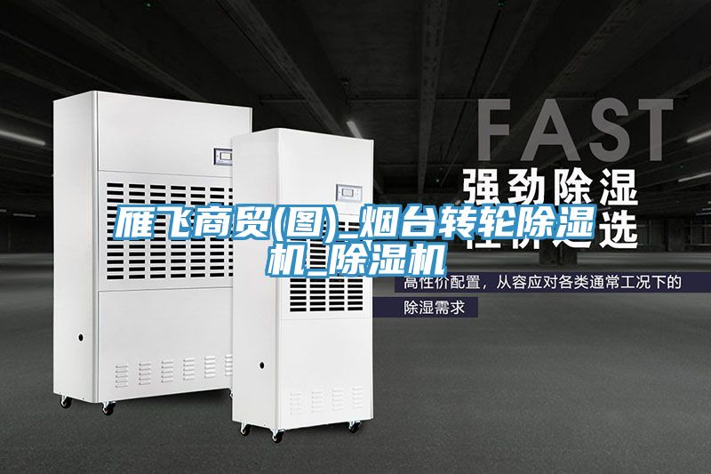 亚洲人成综合第一网站 雁飞商贸(图)_烟台转轮除湿机_除湿机