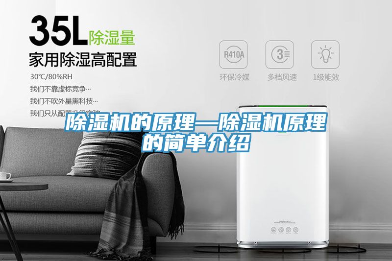亚洲欧美一级特黄大片 除湿机的原理—除湿机原理的简单介绍