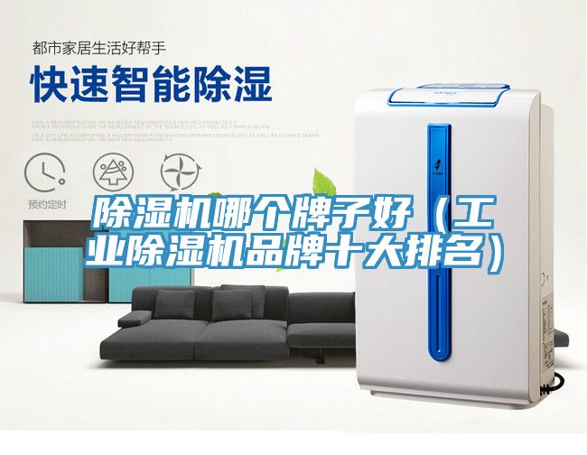 亚洲人成综合第一网站 除湿机哪个牌子好（工业除湿机品牌十大排名）