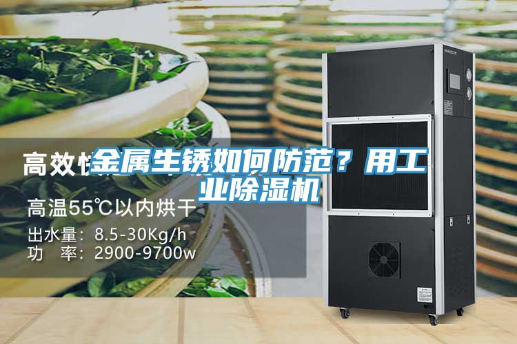 亚洲人成综合第一网站 金属生锈如何防范？用工业除湿机