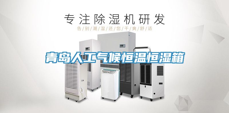 亚洲乱码一区二区三区 青岛人工气候恒温恒湿箱