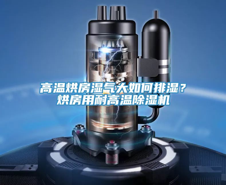 亚洲人成综合第一网站 高温烘房湿气大如何排湿？烘房用耐高温除湿机