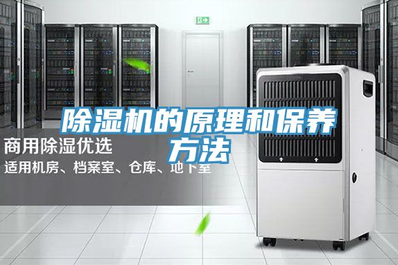 亚洲人成综合第一网站 除湿机的原理和保养方法