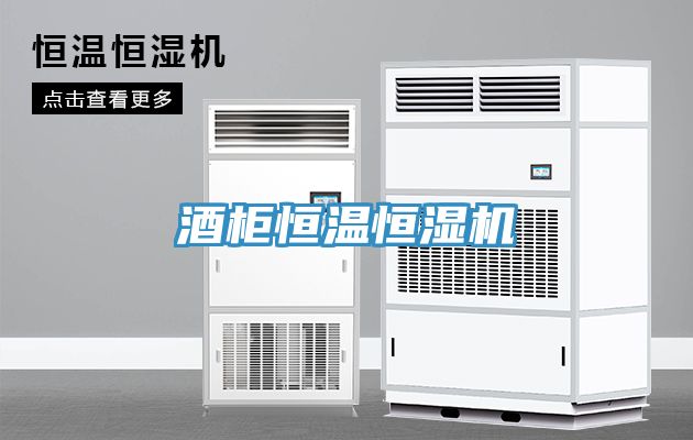 亚洲人成综合第一网站 酒柜恒温恒湿机