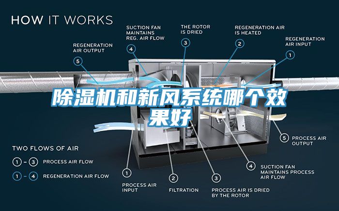亚洲人成综合第一网站 除湿机和新风系统哪个效果好