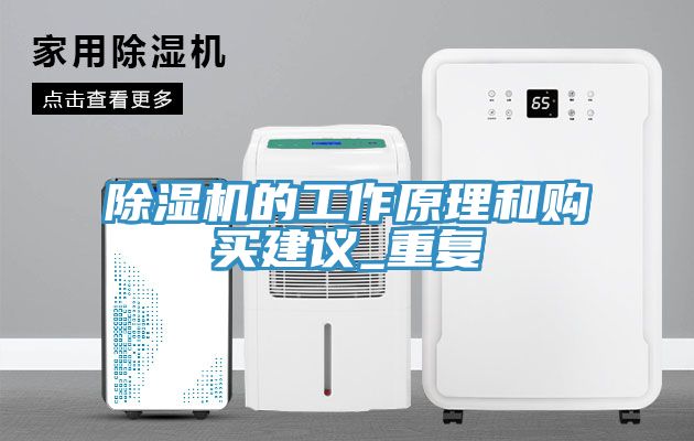 亚洲乱码一区二区三区 除湿机的工作原理和购买建议_重复