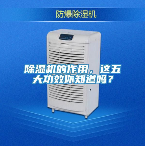 亚洲人成综合第一网站 除湿机的作用，这五大功效你知道吗？
