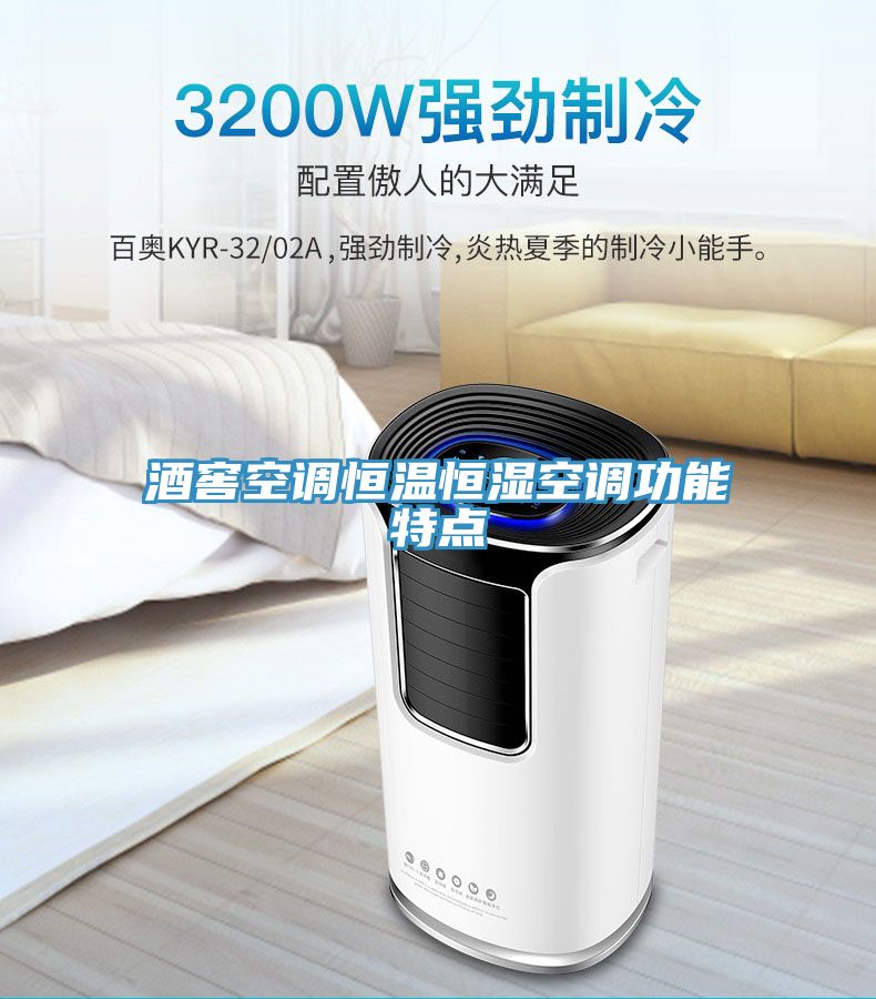 亚洲欧美一级特黄大片 酒窖空调恒温恒湿空调功能特点