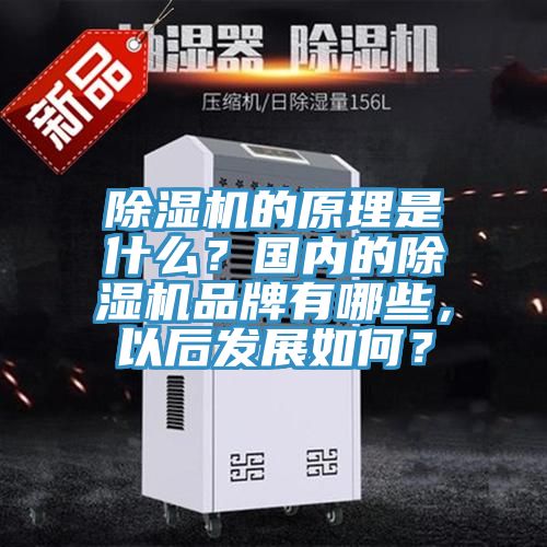 亚洲乱码一区二区三区 除湿机的原理是什么？国内的除湿机品牌有哪些，以后发展如何？