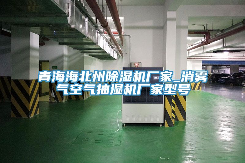 亚洲人成综合第一网站 青海海北州除湿机厂家_消雾气空气抽湿机厂家型号