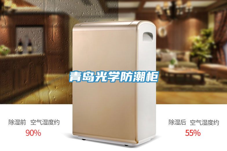 亚洲欧美一级特黄大片 青岛光学防潮柜