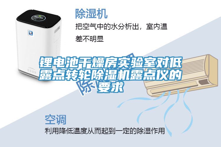 亚洲乱码一区二区三区 锂电池干燥房实验室对低露点转轮除湿机露点仪的要求