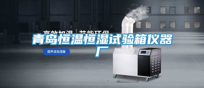 亚洲欧美一级特黄大片 青岛恒温恒湿试验箱仪器厂