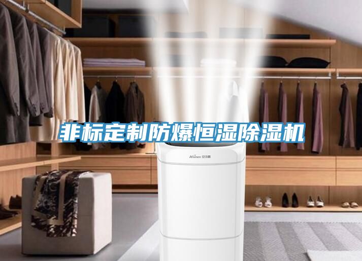 亚洲欧美一级特黄大片 非标定制防爆恒湿除湿机