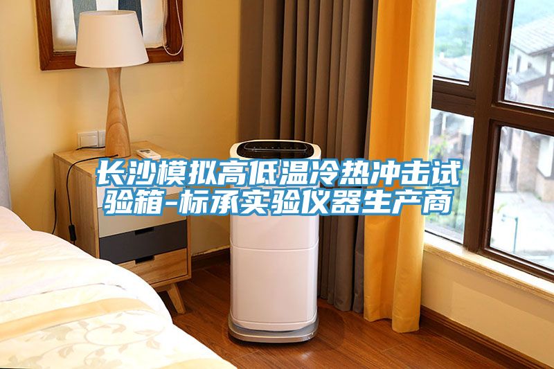 亚洲人成综合第一网站 长沙模拟高低温冷热冲击试验箱-标承实验仪器生产商