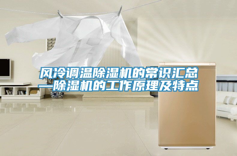 亚洲人成综合第一网站 风冷调温除湿机的常识汇总—除湿机的工作原理及特点