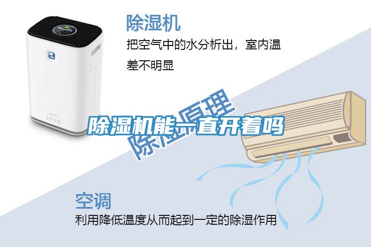 亚洲欧美一级特黄大片 除湿机能一直开着吗