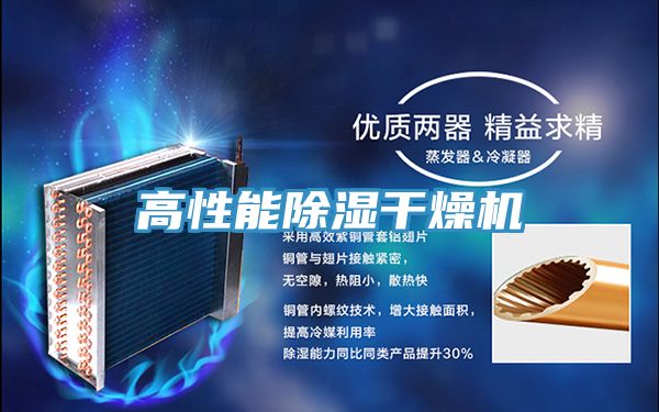 亚洲人成综合第一网站 高性能除湿干燥机
