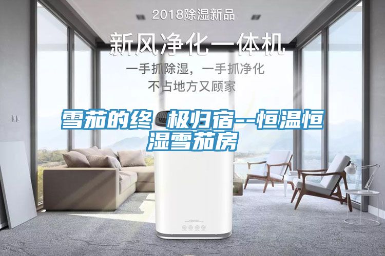 亚洲人成综合第一网站 雪茄的终 极归宿--恒温恒湿雪茄房