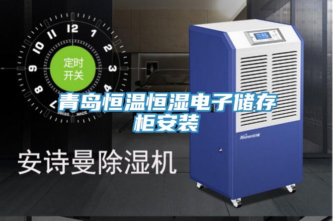 亚洲欧美一级特黄大片 青岛恒温恒湿电子储存柜安装