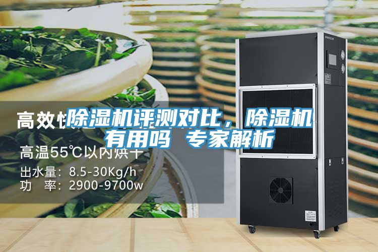 亚洲欧美一级特黄大片 除湿机评测对比，除湿机有用吗 专家解析