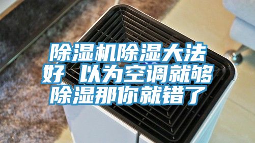 亚洲欧美一级特黄大片 除湿机除湿大法好 以为空调就够除湿那你就错了