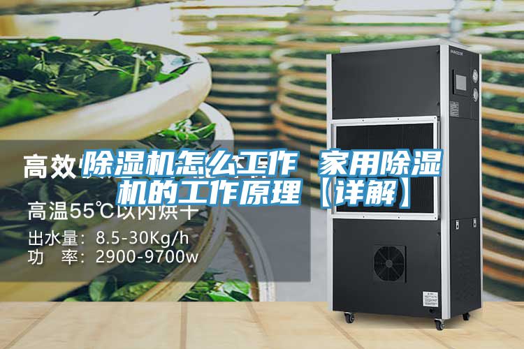 亚洲人成综合第一网站 除湿机怎么工作 家用除湿机的工作原理【详解】
