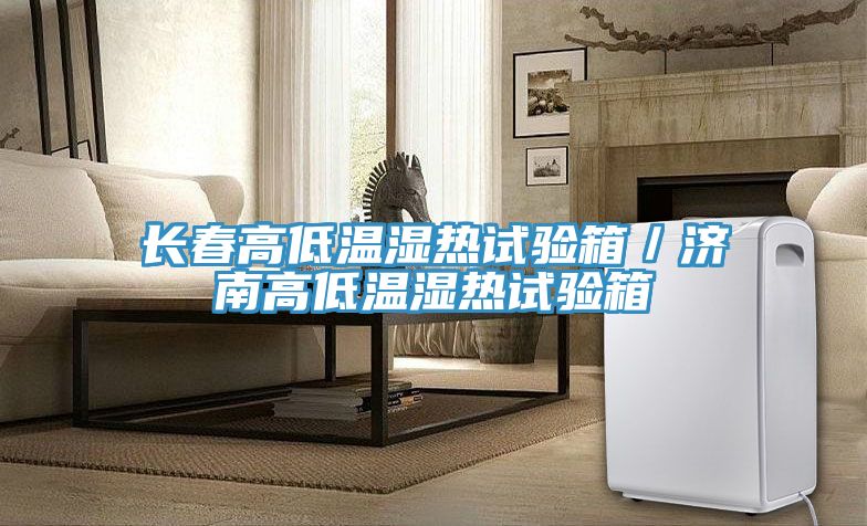 亚洲人成综合第一网站 长春高低温湿热试验箱／济南高低温湿热试验箱