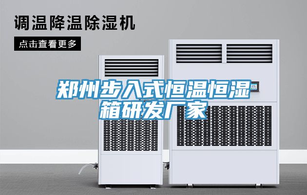亚洲人成综合第一网站 郑州步入式恒温恒湿箱研发厂家