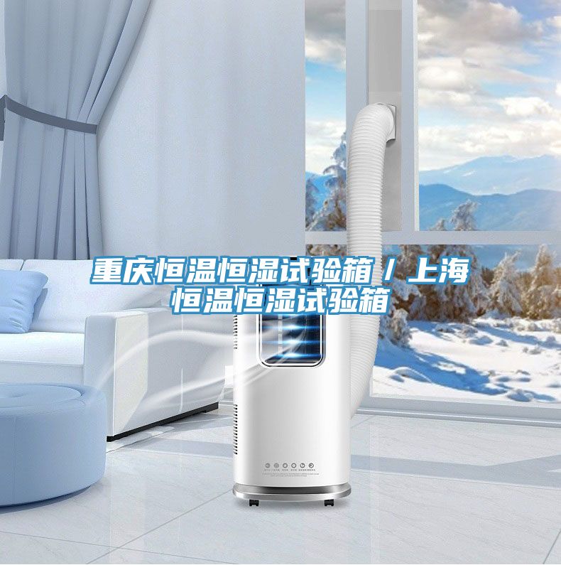 亚洲人成综合第一网站 重庆恒温恒湿试验箱／上海恒温恒湿试验箱