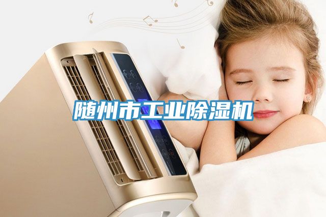 亚洲乱码一区二区三区 随州市工业除湿机